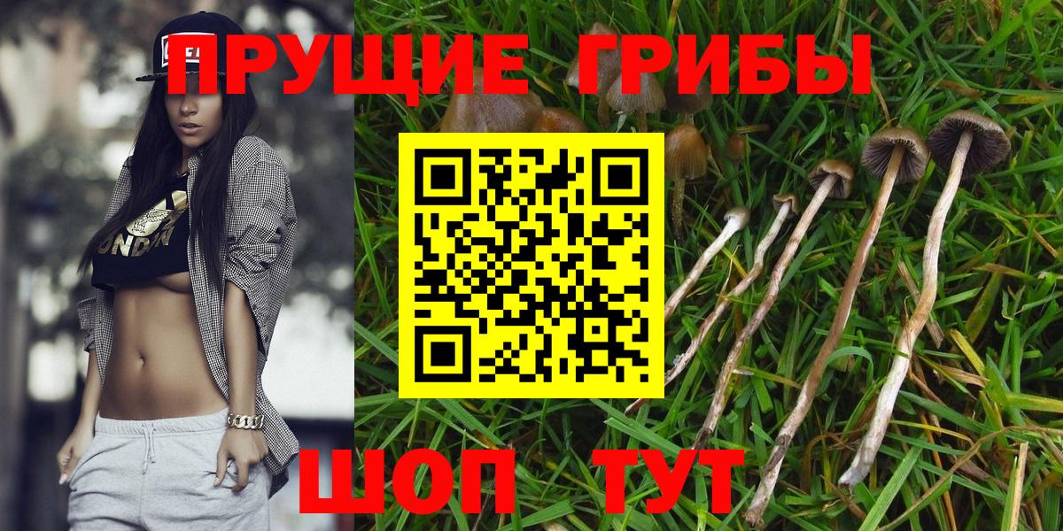 Экстази  Бошки Шишки  МДМА  КОКАИН  Вход с VPN  Мефедрон   Лесной  Гашиш 