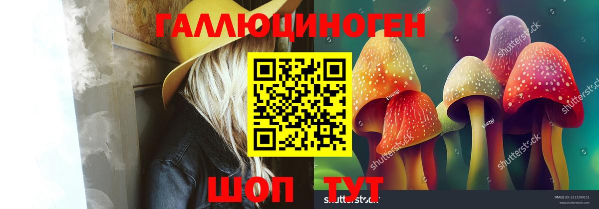 Псилоцибиновые грибы GOLDEN TEACHER Лесной